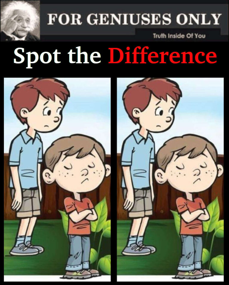 Find The Difference in this image ?