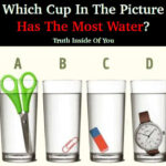 Which Glass Contains The Largest Amount Of Water?